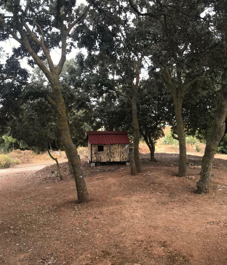 Holiday home Piedras Negras, La Parchite, Ronda